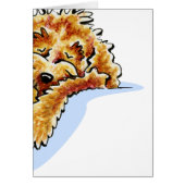 Tan Cockapoo Dream (Front)