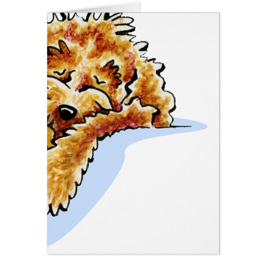 Tan Cockapoo Dream Cards (Front)