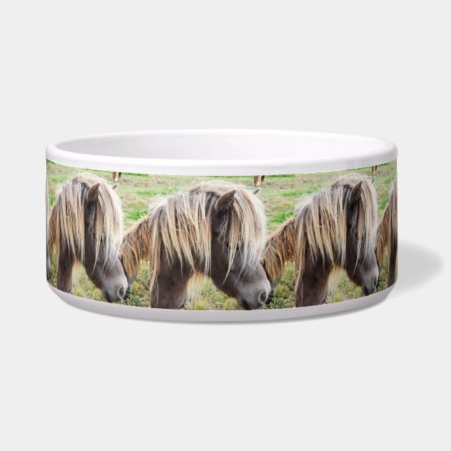 Tan Colored Shetland Pony, Bowl (Front)