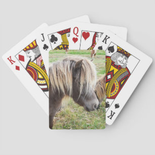 Tan Colored Shetland Pony, Poker Cards