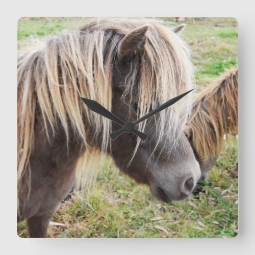 Tan Coloured Shetland Pony Square Wall Clock