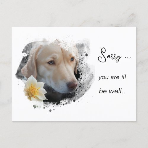  Tan Dog AP61 Get Well Sad  Flower  Postcard