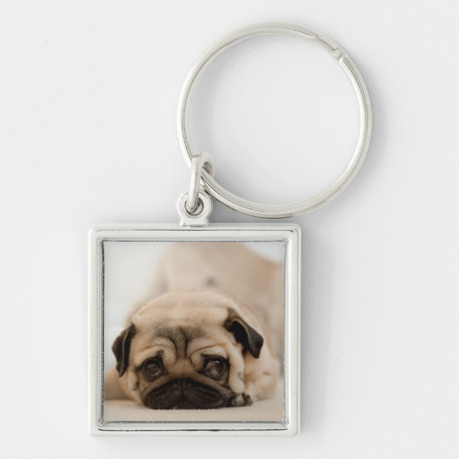 Tan Female Pug Keychain (Front)
