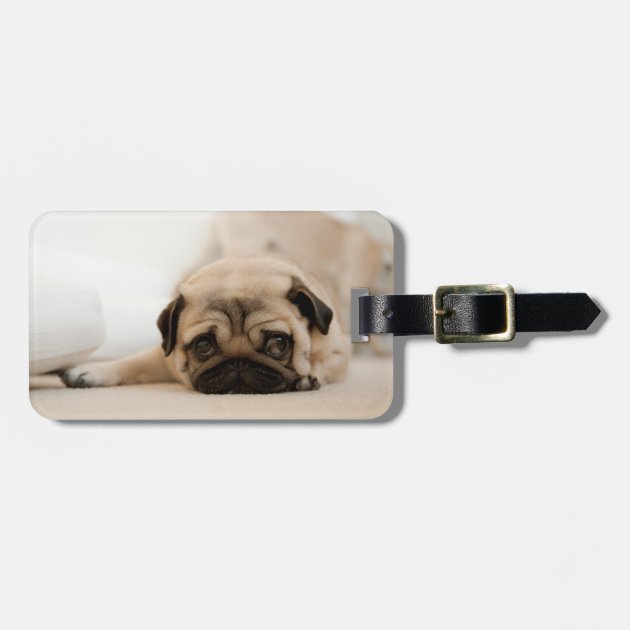pug luggage tag