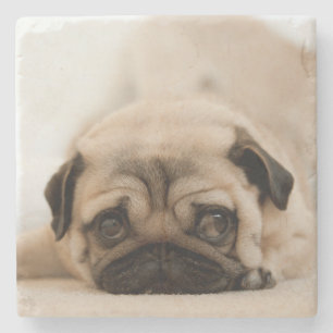 Tan Female Pug Stone Coaster