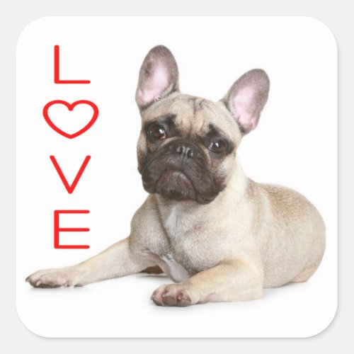 Tan French Bulldog Puppy Dog Red Love Square Sticker