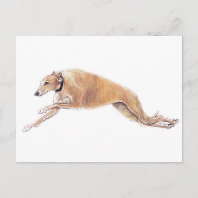 Tan Greyhound Running Dog Art Postcard (Front)