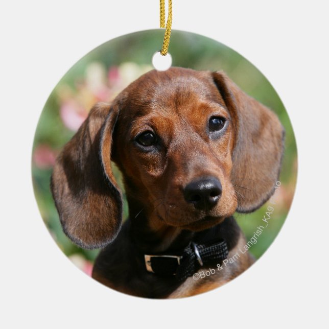 Tan Miniture Dachshund Ceramic Ornament (Front)