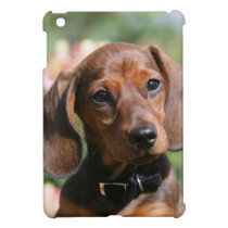 Tan Miniture Dachshund iPad Mini Cover