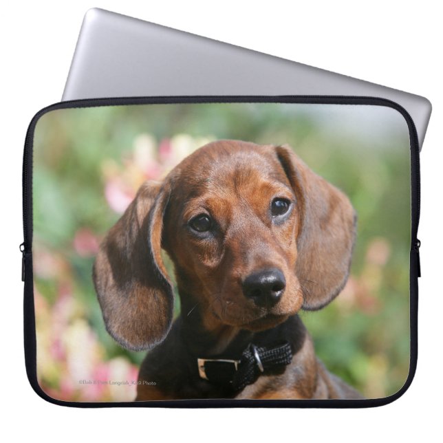Tan Miniture Dachshund Laptop Sleeve (Front)