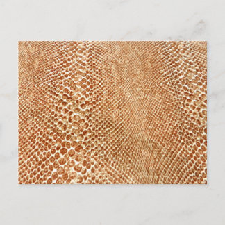 Tan Snakeskin Postcard