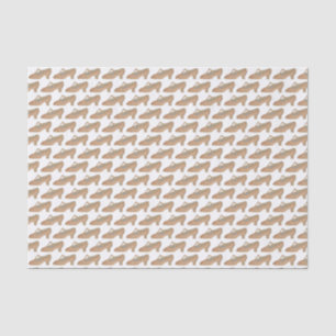 Tan T-Strap Character Shoe Dance Musical Theatre Tissue Paper