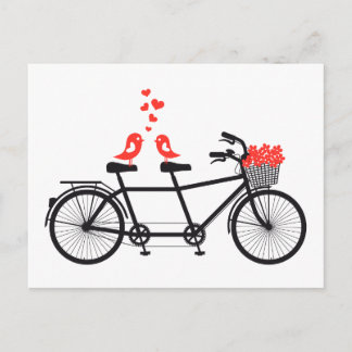 tandem bicycle with cute love birds postcard