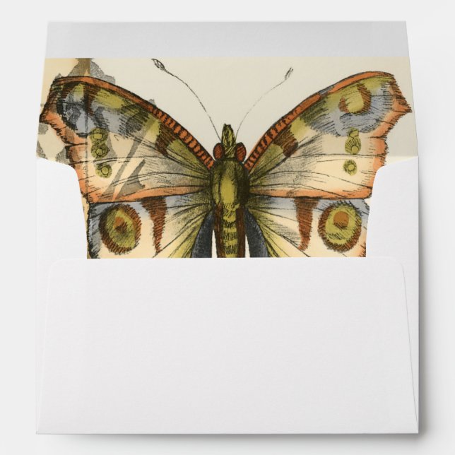 Tandem Butterflies Over Green Leaves Envelope (Back (Bottom))