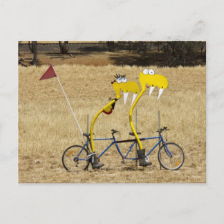 Tandem Snakes Postcard