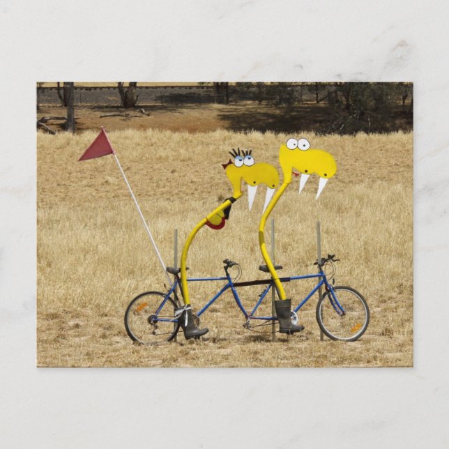Tandem Snakes Postcard (Front)