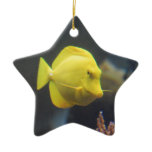 Tang Fish Ceramic Ornament