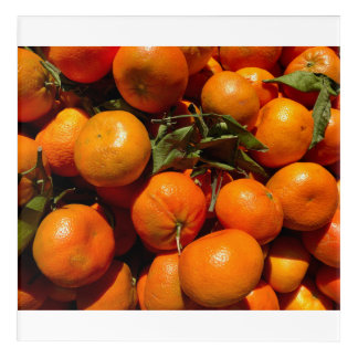Tangerine Acrylic Wall Art
