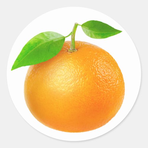 Tangerine Classic Round Sticker
