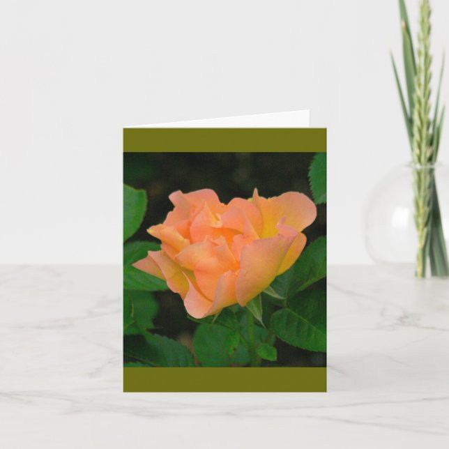 TANGERINE COLORED ROSE (PHOTOG) CARD (Front)