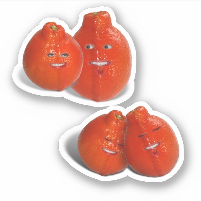 Tangerine Love Sticker (Front)
