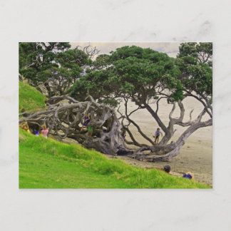 Tangle tree postcard
