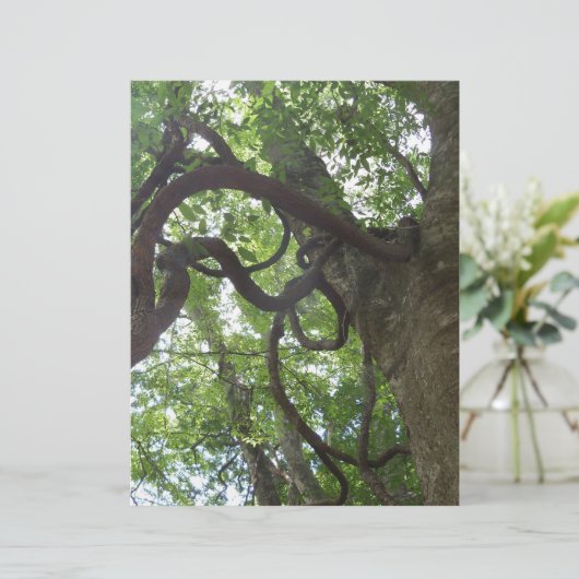 tangled old grapevines in tree (Standing Front)