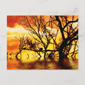 tangled silhouette Postcard