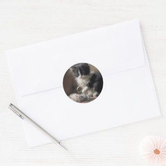 Tangled Up In Fun Black and White Kitten Classic Round Sticker