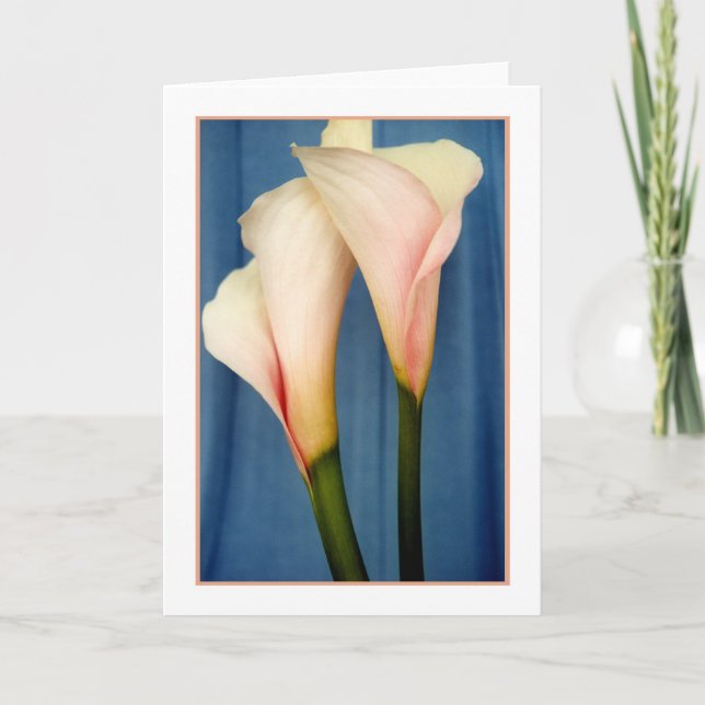 Tango Calla Lily Photo Greeting Card (Front)