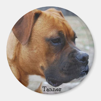 Tanner Magnet
