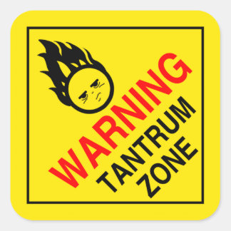 Tanrum Zone Square Sticker