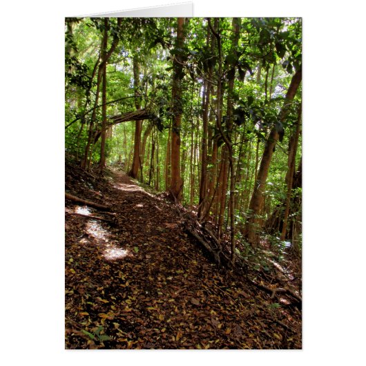 Tantalus Hiking Trail Cards (Front)