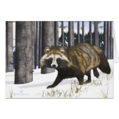 Tanuki - Raccoon Dog (Front Horizontal)