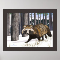 Tanuki - Raccoon Dog