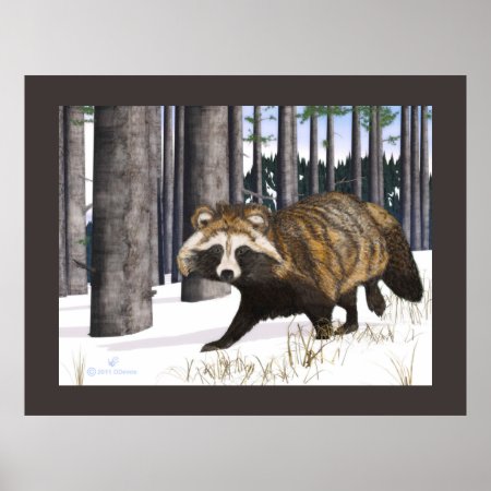 Tanuki - Raccoon Dog Poster
