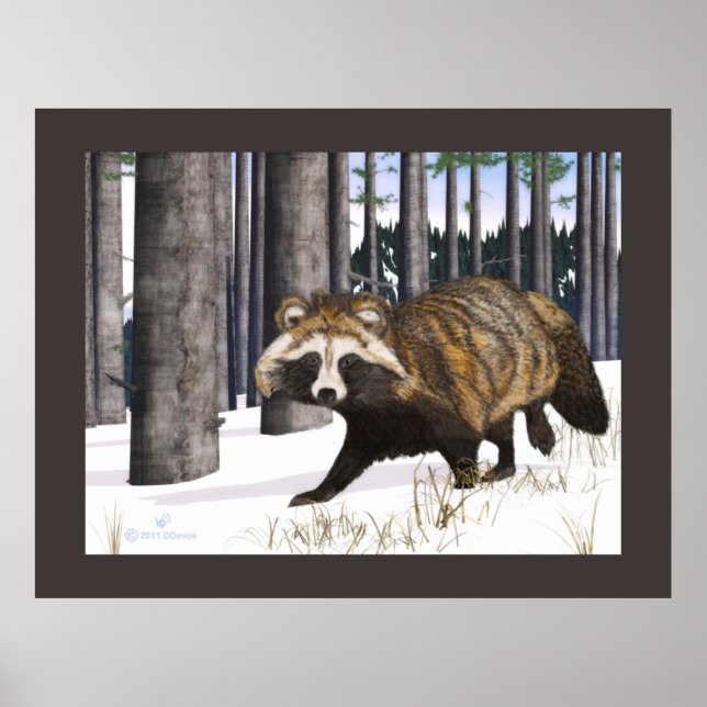 Tanuki - Raccoon Dog Poster (Front)