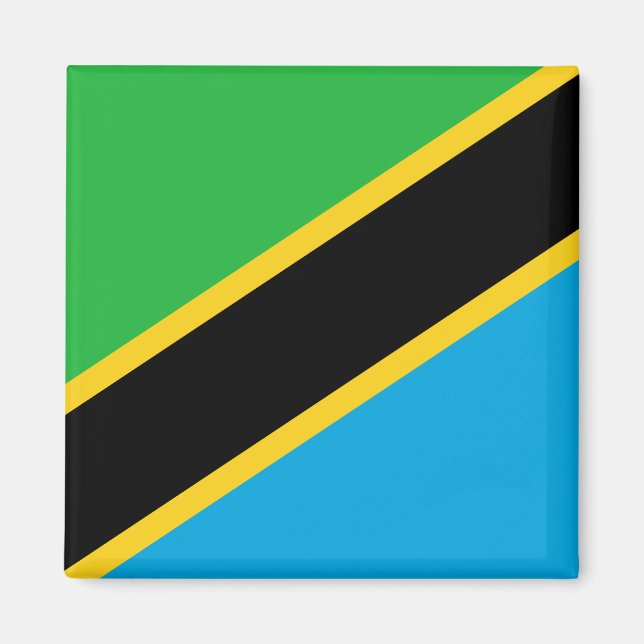 Tanzania Flag Magnet (Front)
