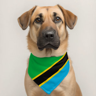 Tanzania flag pet bandana collar