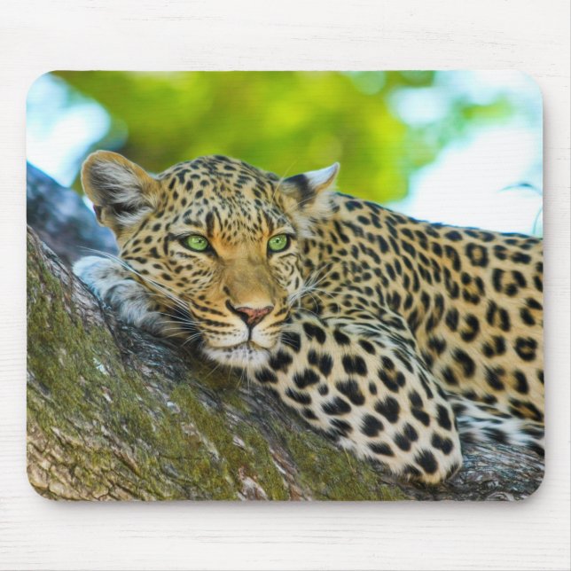 Tanzania Leopard Mouse Pad  (Front)