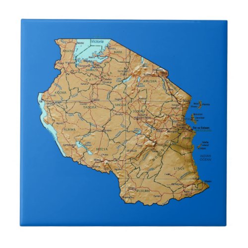 Tanzania Map Tile
