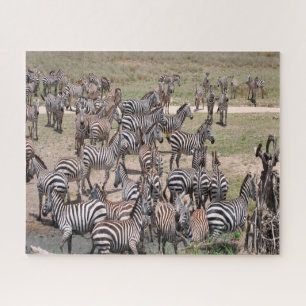 Tanzania National Park. Jigsaw Puzzle