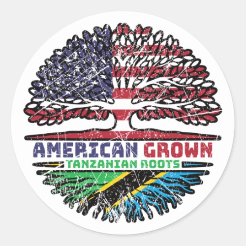 Tanzania Tanzanian US American USA United States Classic Round Sticker