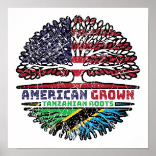 Tanzania Tanzanian US American USA United States Poster