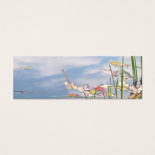 Tao of Water Bookmark Business Card