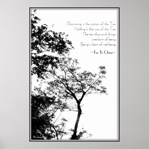 Tao Te ChingSunset Tree BW Photography Poster