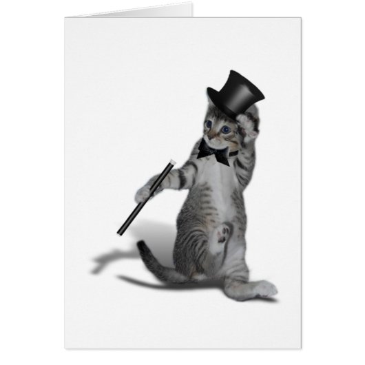 Tap Dancing Cat Cards (Front)