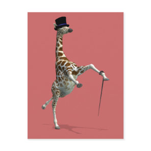 Tap Dancing Giraffe Postcard
