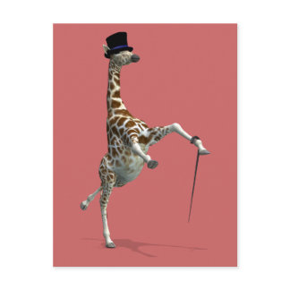 Tap Dancing Giraffe Postcard