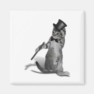 Tap Dancing Kitten Magnet